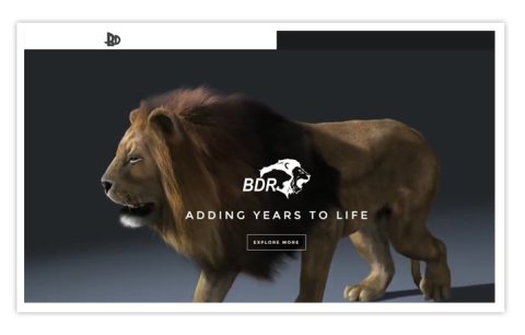 BDR Pharma