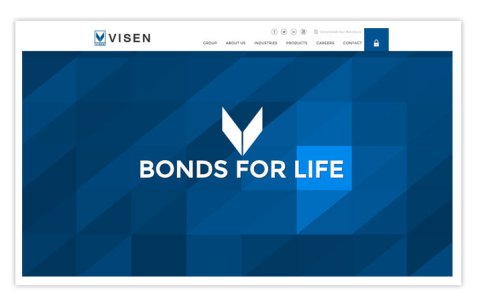 Visen